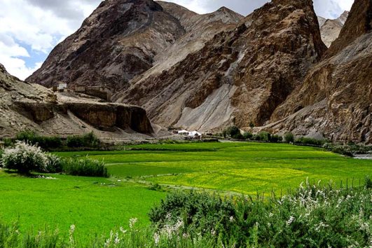 Markha Valley Trek